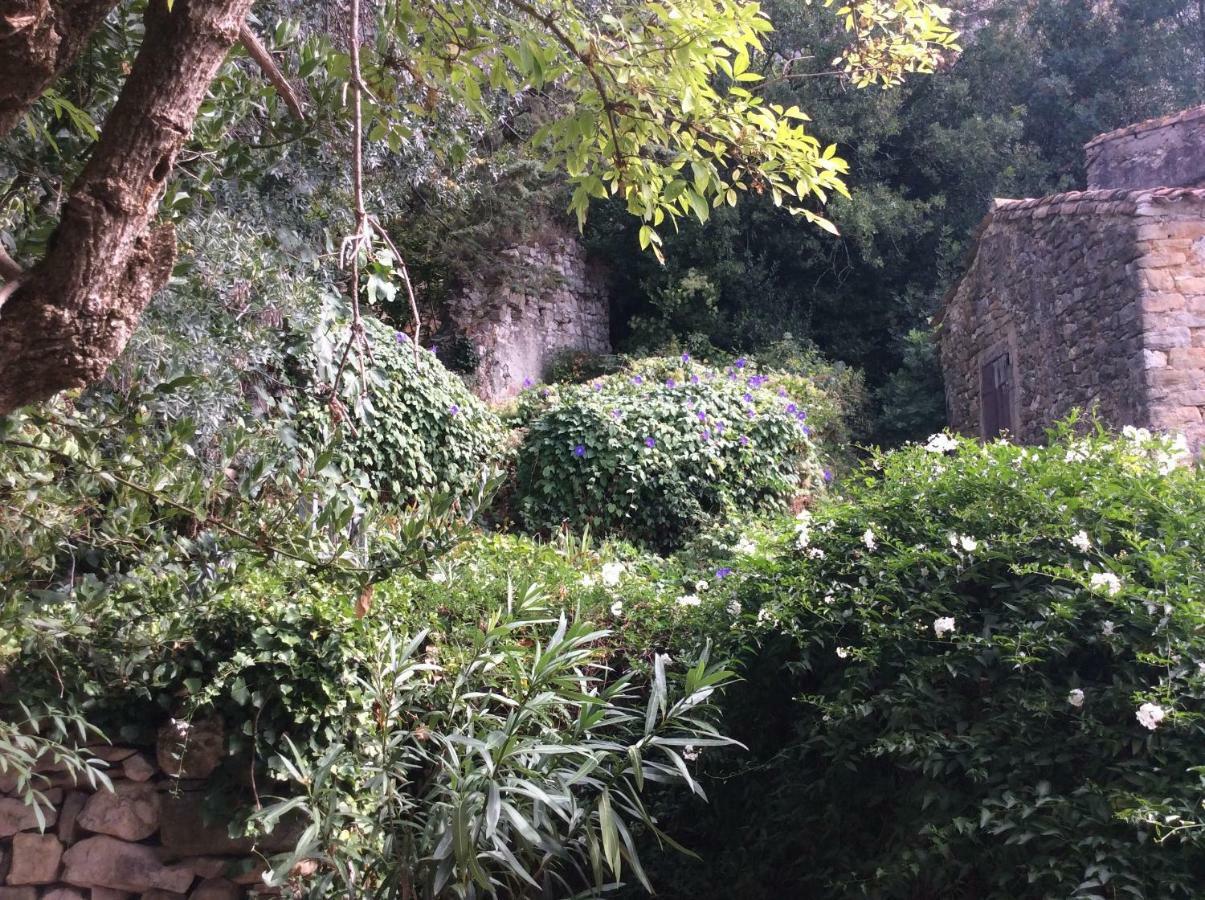 Maison Ancienne Minervois La Caunette Exterior foto